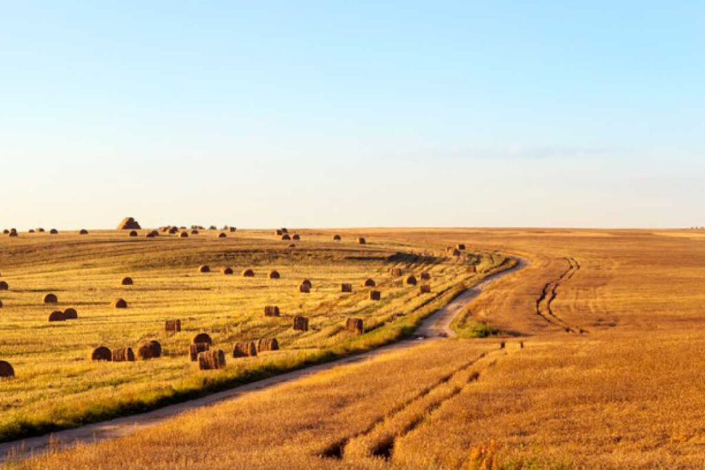 Canadian Prairies Oil and Gas Company